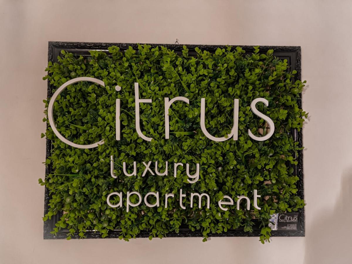 Citrus Luxury Apartment - Holiday Apartment With Up To 3 Bedrooms In Palermo Center Eksteriør billede